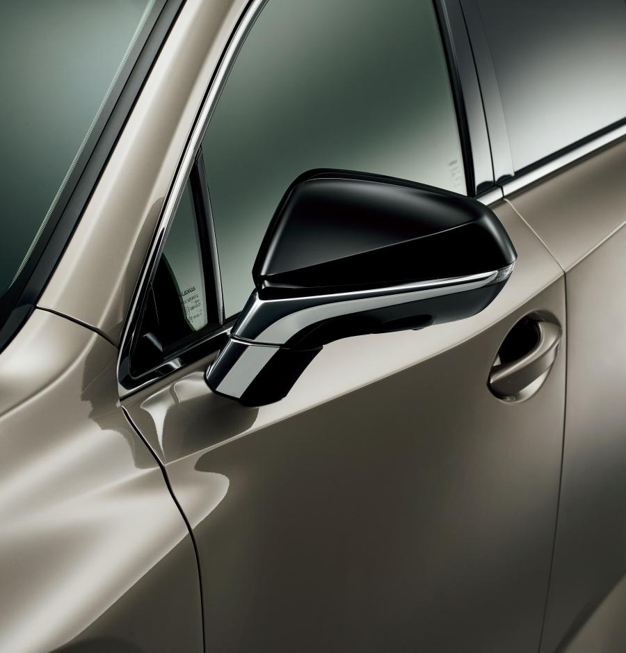Детали экстерьера Lexus NX300 Bronze Edition 2020 года  (JP) (фото 7 из 12)